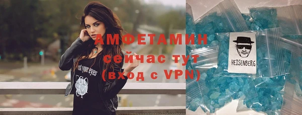 шишки Краснослободск