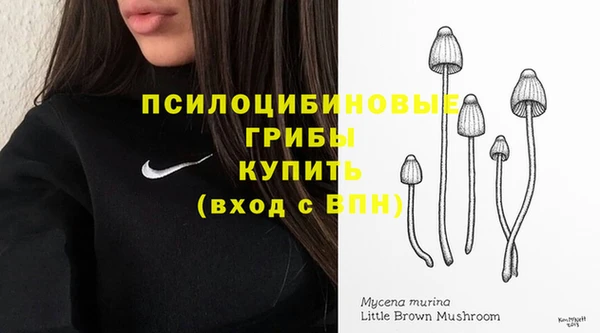 дживик Красноперекопск