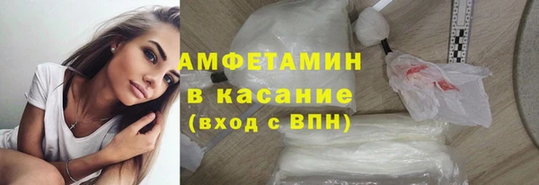шишки Краснослободск