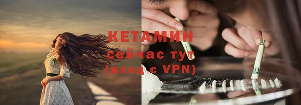 шишки Краснослободск