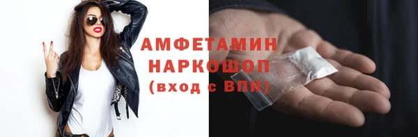 шишки Краснослободск