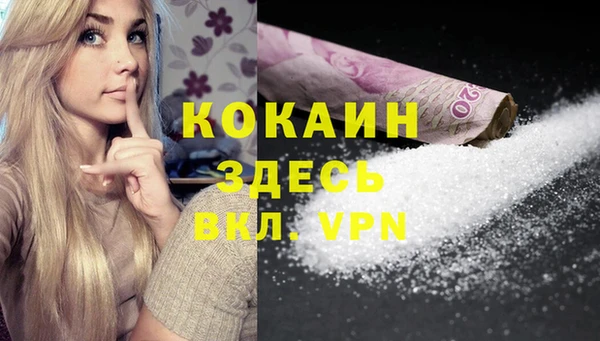 шишки Краснослободск