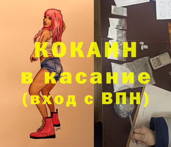 шишки Краснослободск
