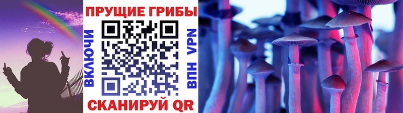 Псилоцибиновые грибы Cubensis  Купить  Бутурлиновка 